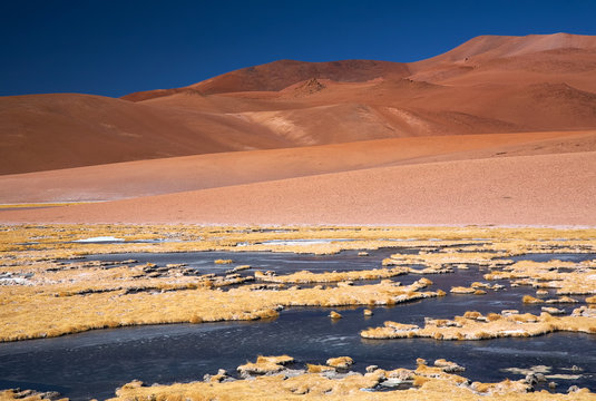 frozen lagoon in Atacama desert, Chile