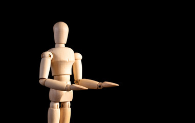 Wooden Art Doll Presenting ( Custom Space )