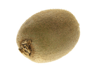 Kiwi Fruit