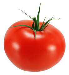 Tomato.