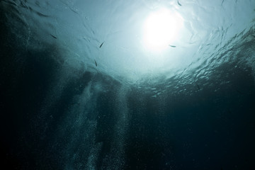 Bubbles in the Red Sea.