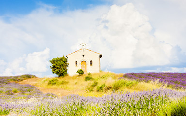 chapel with lavender field, Plateau de Valensole, Provence, Fran