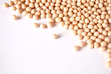大豆とコピースペース