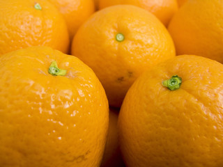 fruit oranges