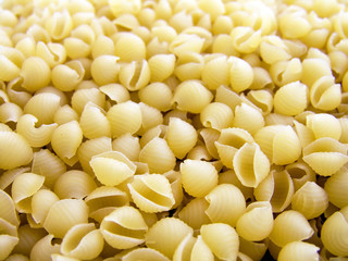 pasta cockleshell macro