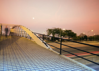 Pedestrian Bridge over Lake Shore Drive