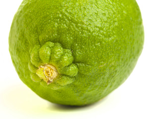 lime
