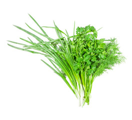 Parsley, dill and onion on a white background