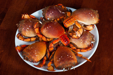 pile of crabs