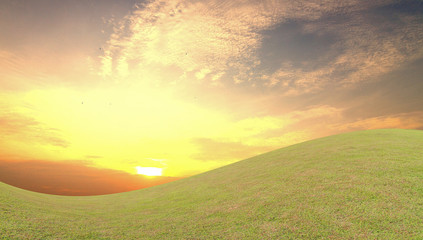 Green Field and Beautiful Sunset .