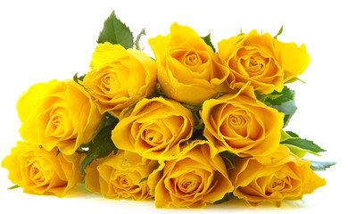 Yellow roses