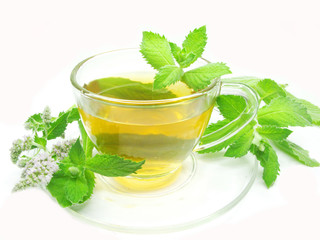 herbal tea with mint extract