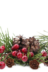 Christmas border with cones, berries and pine branches
