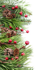 Christmas border with cones, berries and pine branches