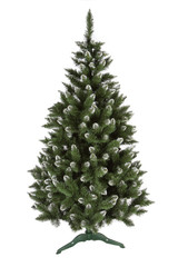 christmas pine tree isolated on white background
