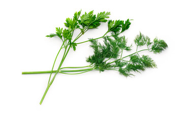Parsley and dill isolated on white