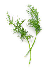 Dill isolated on white