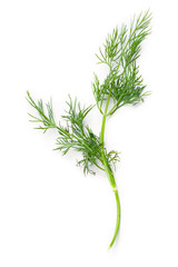 Dill isolated on white