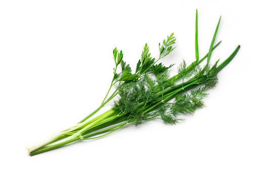 Parsley, spring onions and dill isolated on white