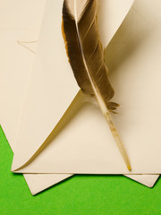 Envelope and feather isolated on green