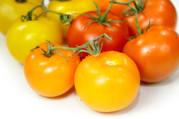 Tomatoes on white background