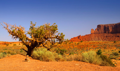 Desert landscape in Monument valley in Arizona