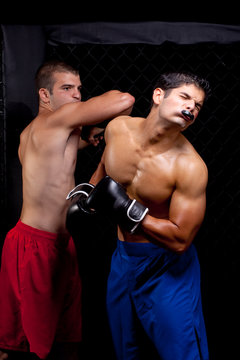 Mixed martial artists fighting