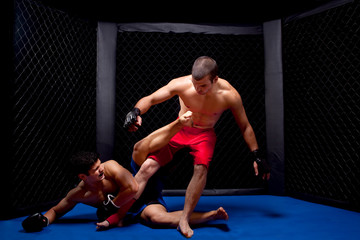 Fototapeta na wymiar Mixed martial artists fighting