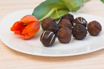 Chocolates and tulip on a white plate