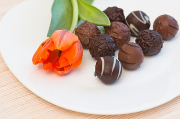 Chocolates and tulip on a white plate