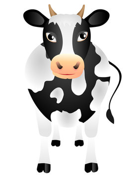 The black-and-white isolated cow