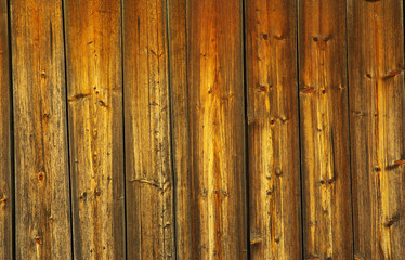 Fototapeta premium wood texture