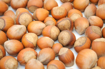 Hazelnuts as Background