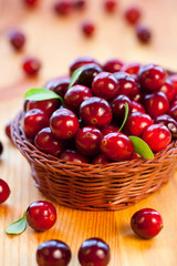 Fresh red cranberries