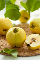 Still life with quinces