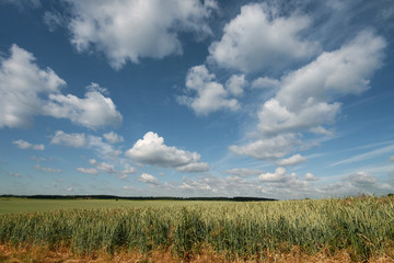 Fototapeta premium Himmel und Erde