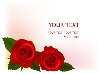 Beautiful red roses, vector illustration
