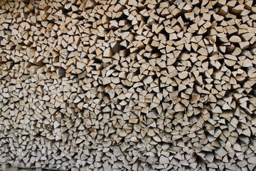 Holz