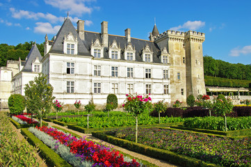 Fototapeta na wymiar Villandry castle - Loire