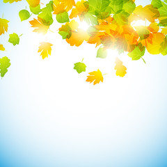 autumn background
