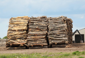 Logs Abound