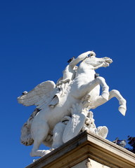 Statue de Pégase au jardin des Tuileries à Paris
