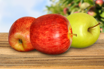 Obst 168
