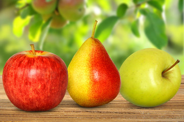 Obst 208
