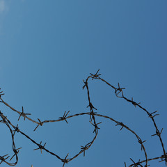 Barbed wire
