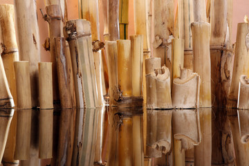 Natural bamboo cuts floor arrangement