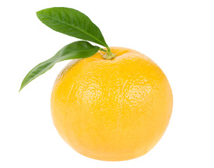 ripe red grapefruit