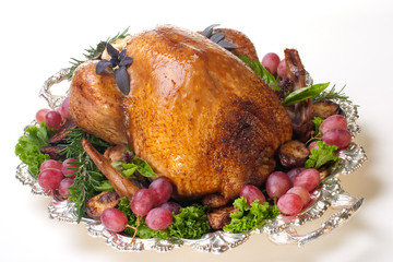 Holiday turkey on white