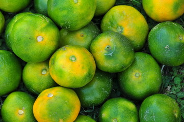 green mandarins