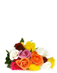 lying roses and empty space for your text